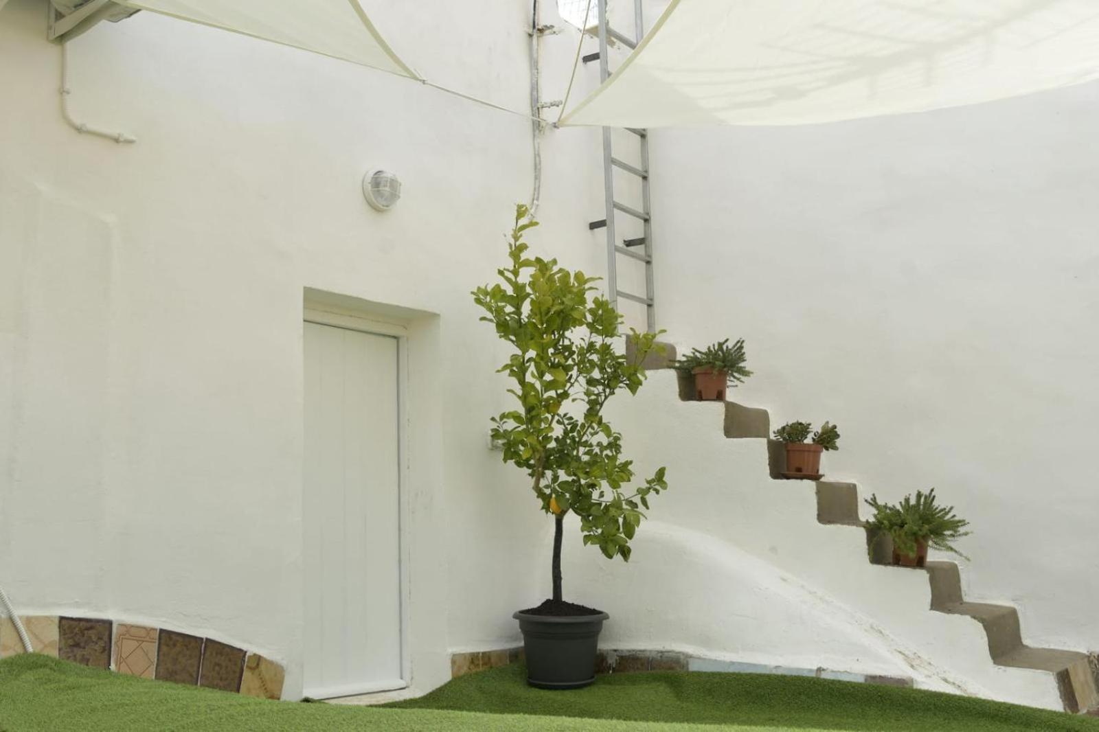 Madre Terra Airport Rooms And Suites Terrasini Exterior foto